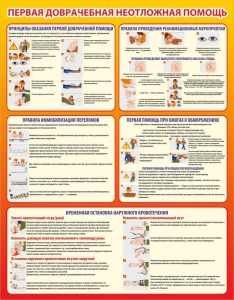 Стенд "Первая доврачебная неотложная помощь" - fgospostavki.ru - Киров