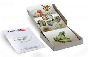 Модель-аппликация "Взаимодействия в природных сообществах" (набор из 23 карт) - fgospostavki.ru - Киров