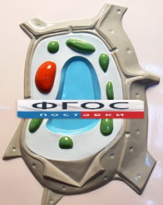 Модель барельефная "Растительная клетка" - fgospostavki.ru - Киров