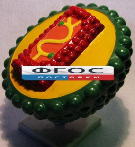 Модель "Вирус СПИДа" - fgospostavki.ru - Киров