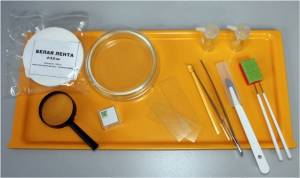 Набор для препарирования по биологии - fgospostavki.ru - Киров