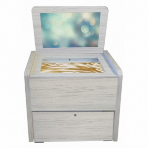 Сундучок психолога-дефектолога "Антошка" - fgospostavki.ru - Киров