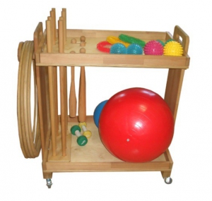 Тележка с гимнастическими снарядами (взрослая комплектация) - fgospostavki.ru - Киров