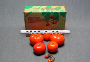 Набор муляжей "Дикая форма и культурные сорта томатов" - fgospostavki.ru - Киров