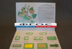 Коллекция "Шелк для начальной школы" - fgospostavki.ru - Киров