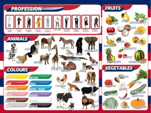 Стенд "Цвета, животные, профессии, фрукты, овощи" - fgospostavki.ru - Киров