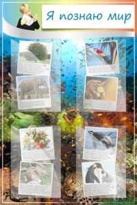 Стенд "Я познаю мир" - fgospostavki.ru - Киров