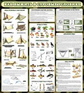 Стенд информационный "Как выжить в суровых условиях" - fgospostavki.ru - Киров