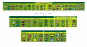 Стенд "Классификация растений" - fgospostavki.ru - Киров