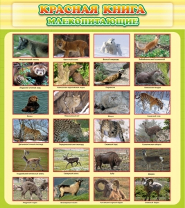 Стенд "Красная книга - млекопитающие" - fgospostavki.ru - Киров