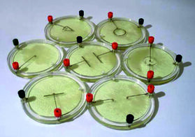 Демонстрационный комплект «Силовые линии электрического поля разных систем зарядов» - fgospostavki.ru - Киров