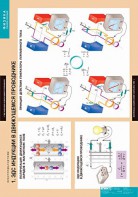 Комплект таблиц. Физика. Электромагнетизм. - fgospostavki.ru - Киров