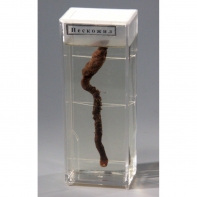 Влажный препарат "Пескожил" - fgospostavki.ru - Киров