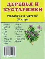 Раздаточные карточки "Деревья и кустарники" - fgospostavki.ru - Киров