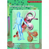 Интерактивные плакаты. Биология человека. Программно-методический комплекс - fgospostavki.ru - Киров