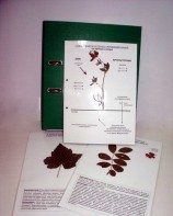 Гербарий к курсу основ общей биологии (20 листов, ламинированный) - fgospostavki.ru - Киров