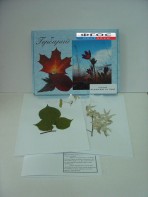 Гербарий "Медоносные растения" (24 вида) - fgospostavki.ru - Киров