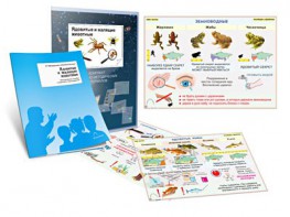 Комплект кодотранспарантов "Ядовитые и жалящие животные" - fgospostavki.ru - Киров