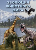 DVD "Эволюция животного мира" - fgospostavki.ru - Киров
