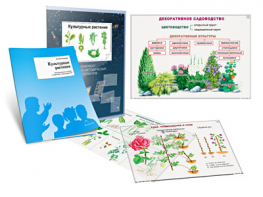 Комплект кодотранспарантов "Культурные растения" - fgospostavki.ru - Киров