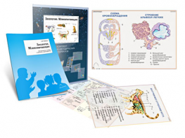 Комплект кодотранспарантов "Зоология. Млекопитающие" - fgospostavki.ru - Киров