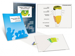 Комплект кодотранспарантов "Корень. Стебель. Лист (Внутреннее строение)" - fgospostavki.ru - Киров