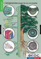 Комплект таблиц. Биология. Растение – живой организм. - fgospostavki.ru - Киров
