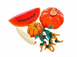 Набор муляжей "Бахчевые культуры" - fgospostavki.ru - Киров