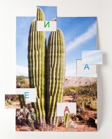 Магнитная орфография (безударные гласные, 1 класс) "Кактус" - fgospostavki.ru - Киров