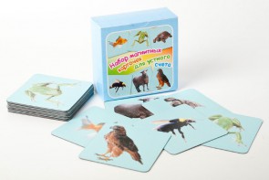 Набор магнитных карточек "Устный счет" (фон голубой) - fgospostavki.ru - Киров