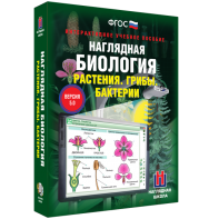 Наглядная биология. 6 класс. Растения. Грибы. Бактерии - fgospostavki.ru - Киров