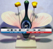 Модель "Цветок яблони" - fgospostavki.ru - Киров