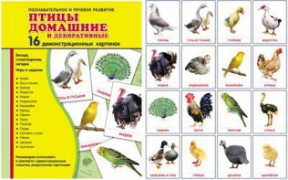 Демонстрационные карточки "Птицы домашние и декоративные" - fgospostavki.ru - Киров