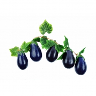 Ветка муляжей "Баклажаны" - fgospostavki.ru - Киров