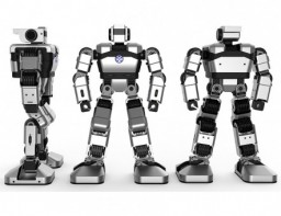 Образовательная платформа для обучения программирования гуманоидный робот Yanshee - fgospostavki.ru - Киров