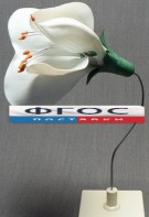 Модель "Цветок гороха" - fgospostavki.ru - Киров