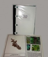 Гербарий "Эволюция высших растений" (ламинированный) - fgospostavki.ru - Киров