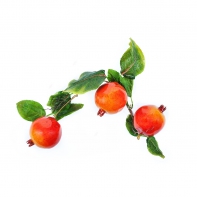 Ветка муляжей "Гранат" - fgospostavki.ru - Киров