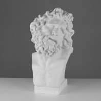 Бюст Лаокоона (гипс) - fgospostavki.ru - Киров