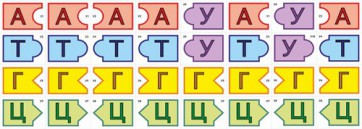 Модель-аппликация Удвоение ДНК и транскрипция РНК - fgospostavki.ru - Киров