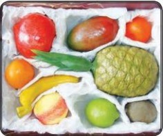 Набор муляжей тропических фруктов - fgospostavki.ru - Киров