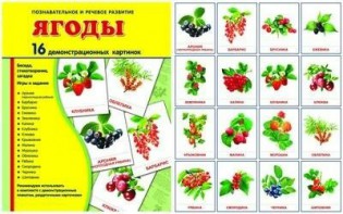 Демонстрационные карточки "Ягоды" - fgospostavki.ru - Киров