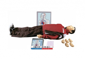 "Максим III-01" тренажер сердечно-легочной и мозговой реанимации - fgospostavki.ru - Киров