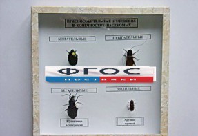 Коллекция энтомологическая "Приспособительные изменения в конечностях насекомых" - fgospostavki.ru - Киров