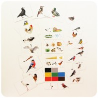 Набор магнитных карточек "Загадки-отрицания". Птицы - fgospostavki.ru - Киров