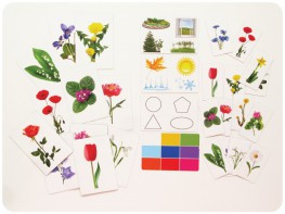 Набор магнитных карточек "Загадки-отрицания". Цветы - fgospostavki.ru - Киров