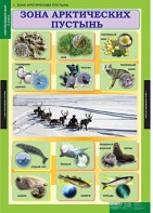 Комплект таблиц. Окружающий мир 4 класс. - fgospostavki.ru - Киров