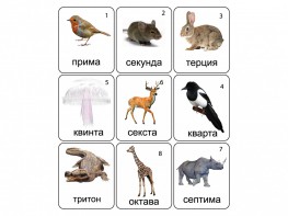 Набор магнитных карточек по музыке "Животные" (9 штук) - fgospostavki.ru - Киров