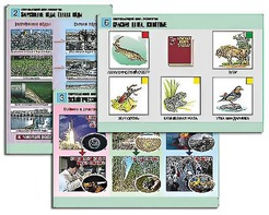 Комплект таблиц "Окружающий мир. Экология" (6 таблиц, А1, ламинированные) - fgospostavki.ru - Киров