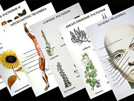 Таблицы по природоведению 1-3 класс (46 штук, формат А2) - fgospostavki.ru - Киров